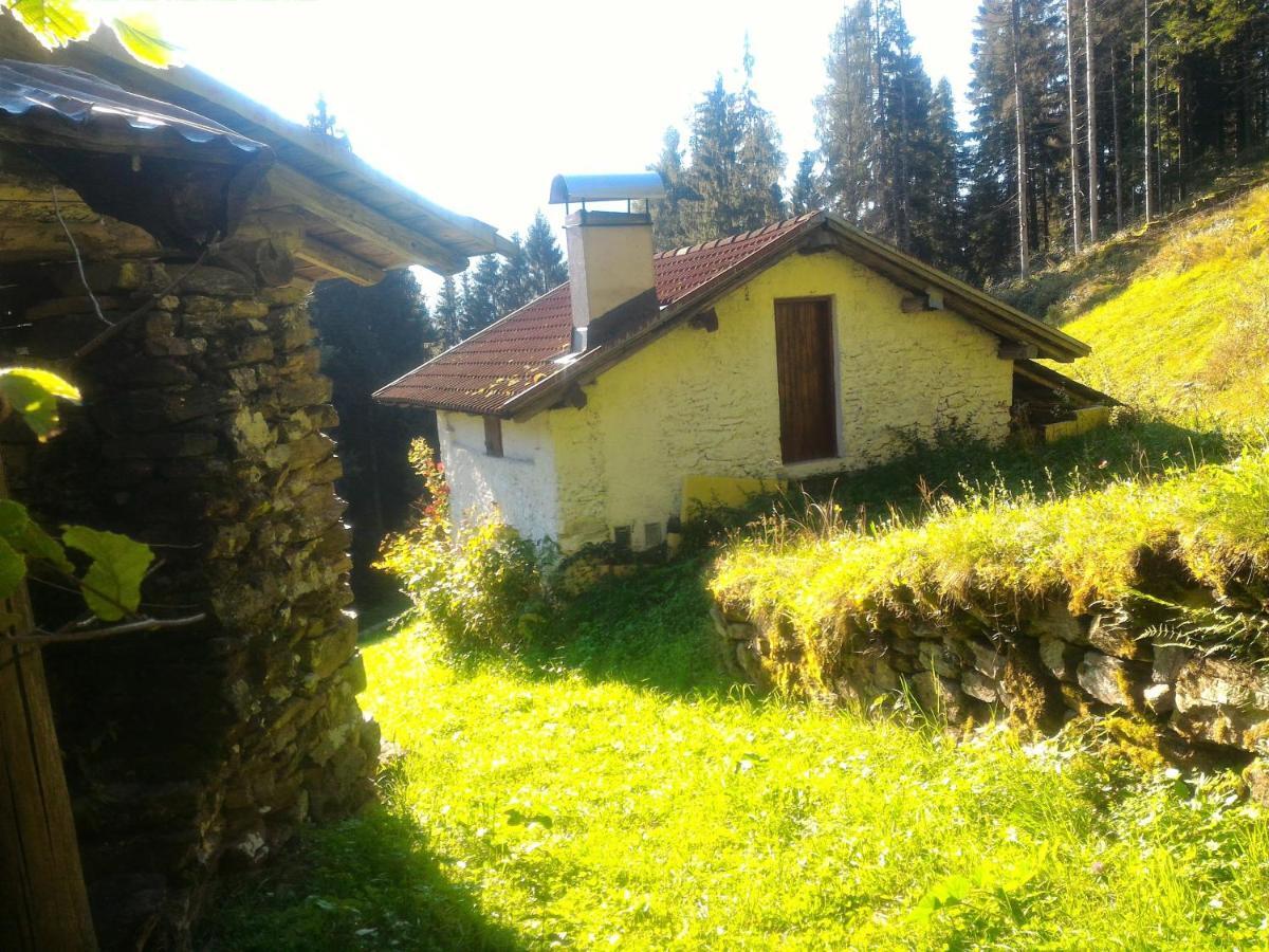 Casa Lausen Canal San Bovo Exterior foto